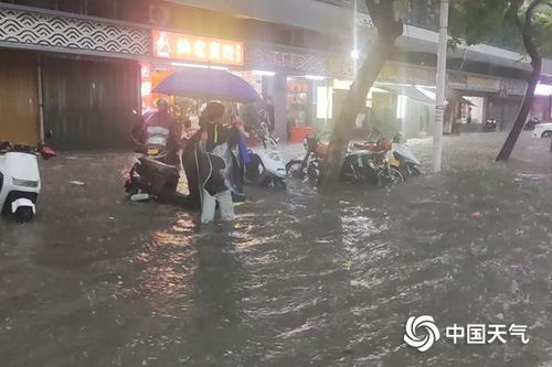 广州今天特大暴雨（广州今天特大暴雨事件）