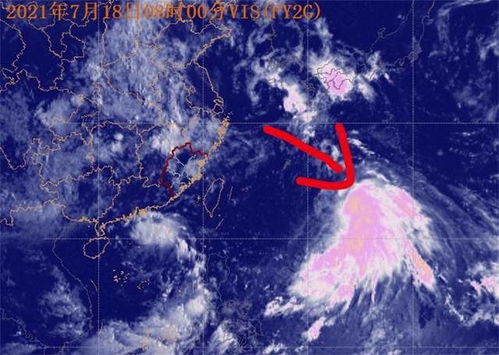 南阳天气预报,古城晴雨间的烟火与诗意 南阳天气预报,古城晴雨间的烟火与诗意