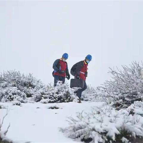 吉安天气预报15天查询，助你从容规划每一天