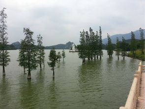 惠城晴雨录，一座岭南小城的天气哲学