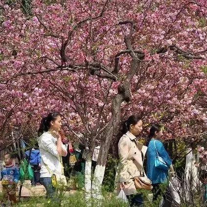 未来一个月的天气预报30天，季节交替中的生活指南