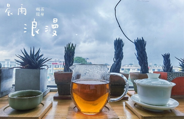 晨起温茶夜听雨，一份天气预报里的生活美学