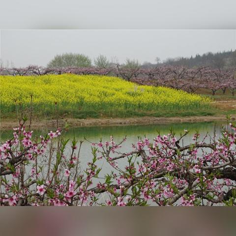 淮南市天气预报，春日天气多变，市民需注意防寒保暖