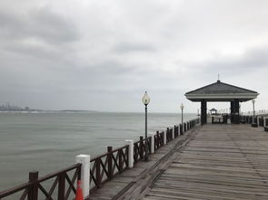 山东青岛天气，海风里的四季诗篇