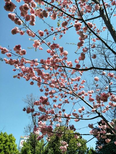 昆明的天空，是一封写给春天的情书